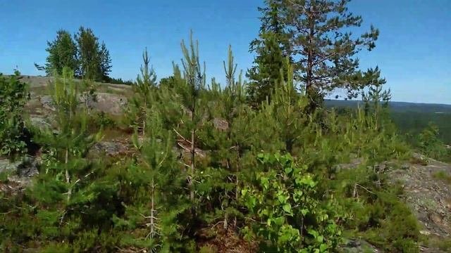 Карелия. Гора Хийденвуори, Хийси. Верхняя точка.