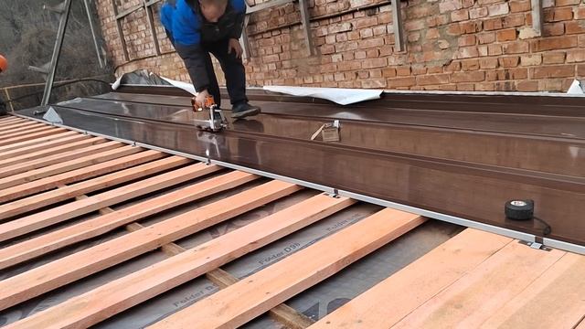 VID_20221203_161651.mp4