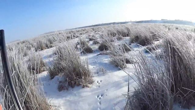 Охота на зайцев - Как найти зайца в многоследицу