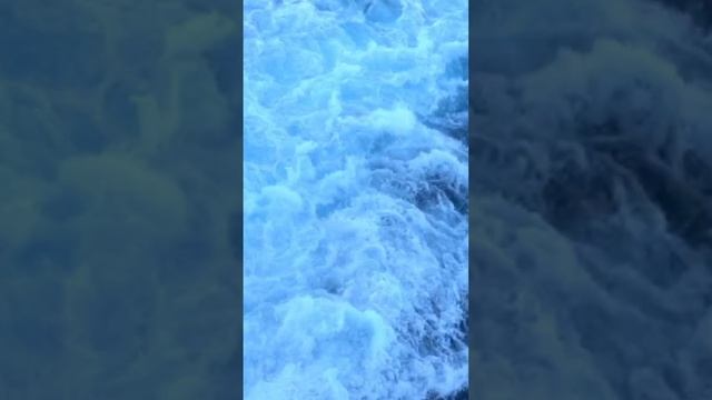 СООБЩЕСТВО СВЕТА. Наука - где правда?