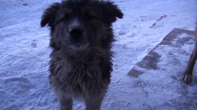 20130128095031.mp4
