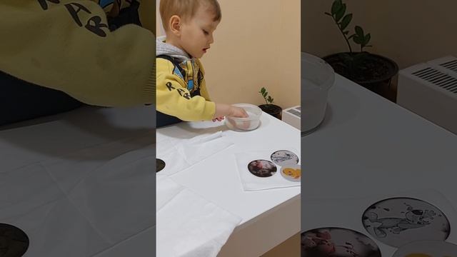 Фрагмент логопедического занятия
