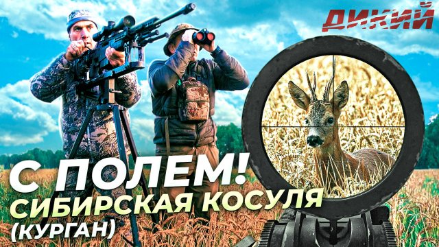 С полем!🦌 Охота на косулю в Курганской области.