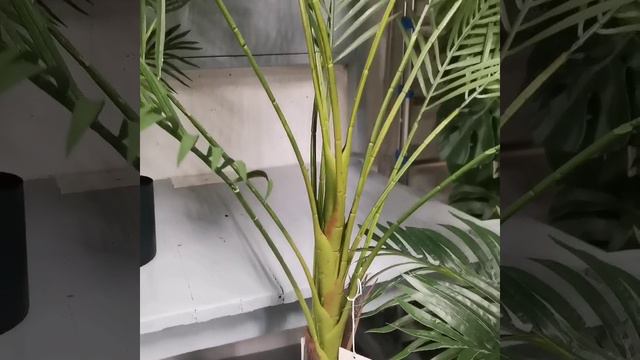 VID_19790825_172857_973.mp4