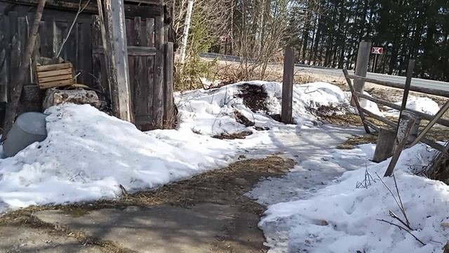 Утро в деревне