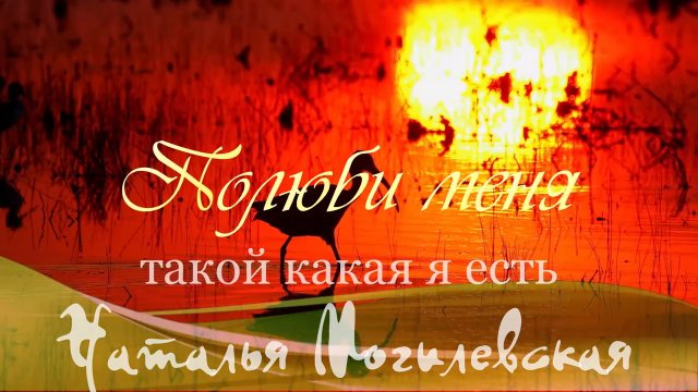 Полюби меня такой  какая я есть.