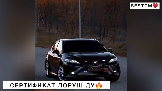 Мага Магомаев БОМБОВАЯ ПЕСНЯ Х1усамехь Йо1 Хиларца Сертификат Лоруш Ду😍🔥