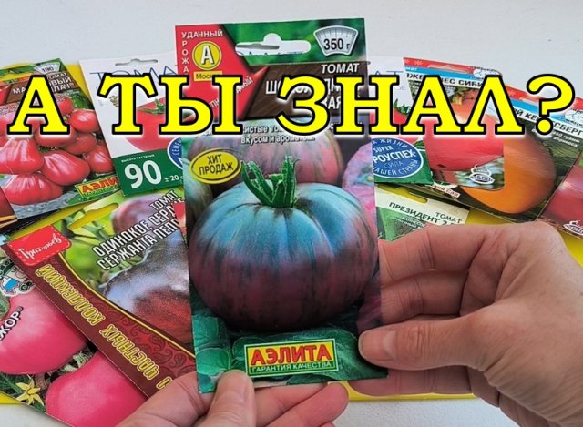 ТОМАТЫ - 2024🍅🍅🍅 Лучшие из лучших👍👍👍
