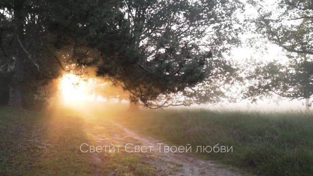 Дорога домой \ Светлана Бек
