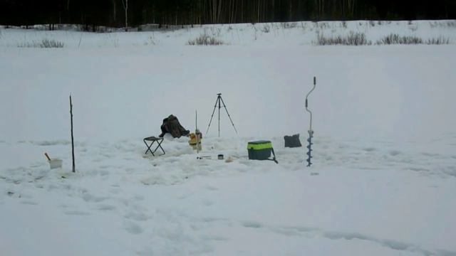 Болен Рыбалкой №264 - Вместо щуки - окунь!