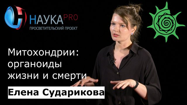 Елена Сударикова - Митохондрии - органоиды жизни и смерти