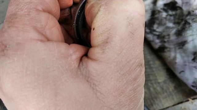 замена ремня грм рено логан 1.6 8 клапанов