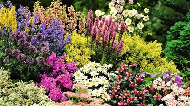 ?Сделать свой сад красивым Идеи для вдохновения / Examples of garden plot design / A - Video