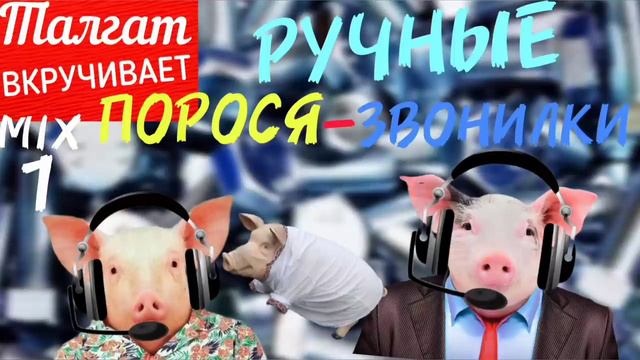 Ручные ПОРОСЯ-ЗВОНИЛКИ Талгата. Микс 1