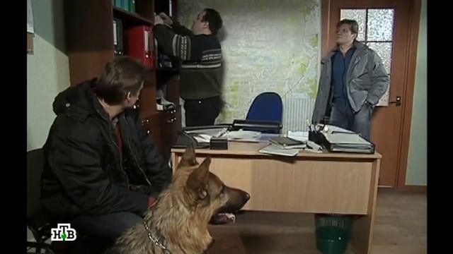 Возвращение Мухтара 2. Букет подснежников