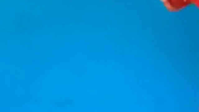 Видио прикол