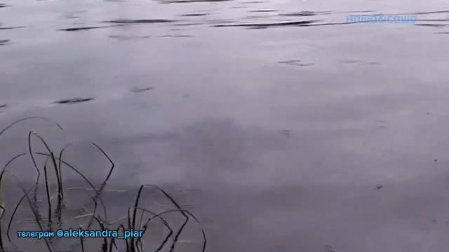 Всё сначала начать