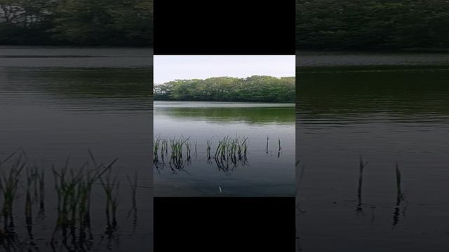 Озеро на Реке