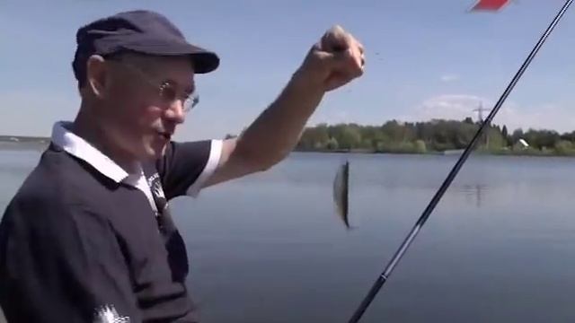 Рыбалка на маховую удочку. Ловля уклейки.
