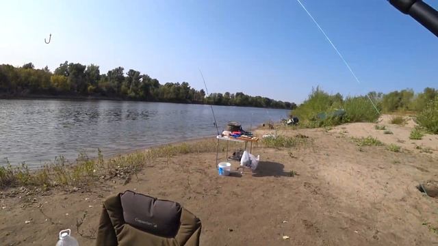 Рыбалка на АХТУБЕ! Ловля АМУРА! БЮДЖЕТНАЯ И УЛОВИСТАЯ СНАСТЬ на амура!