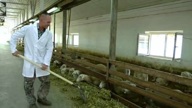 Сырный Олимп в Крымском районе