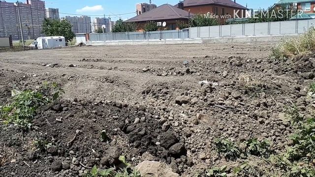 Планировка участка!!!