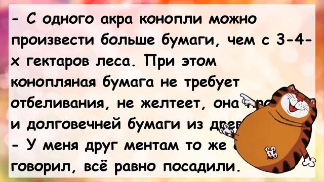 ?Ой а в ж..пу можно? Подборка веселых анекдотов для настроения! Юмор Смех Позитив! Выпуск 174