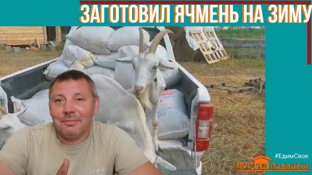 Подготовка к зиме: купил ЯЧМЕНЬ. "Мое Подворье"