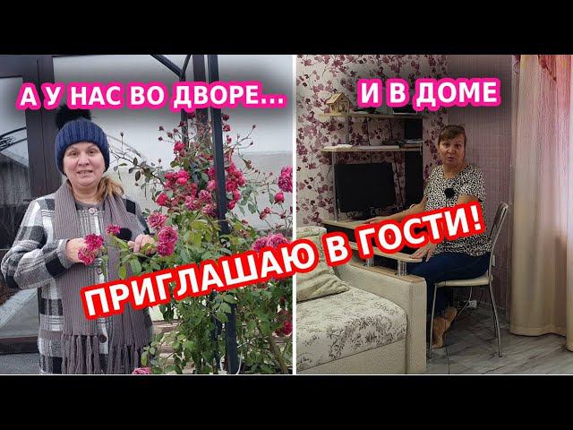 Ноябрь. В гостях канала Вдали от города с Ниной К// Обзор моего участка 10 соток