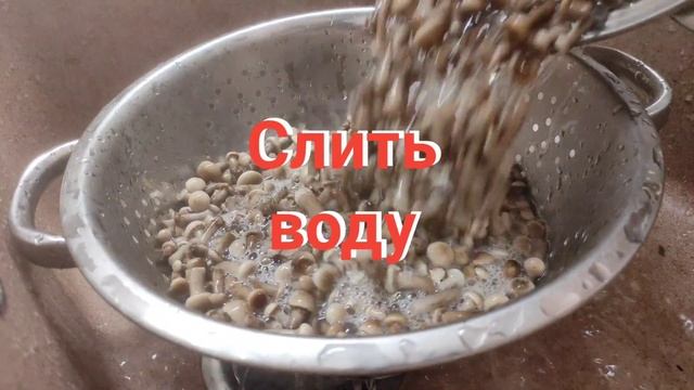 Солёные опята . Простой рецепт засолки грибов на зиму . #мировойзакусон