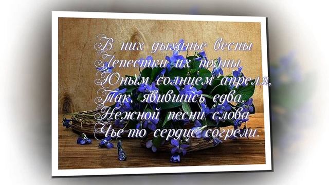 Купите фиалки исп. Виктория Иванова