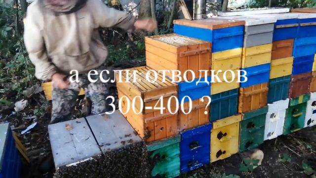 6 рамочный улей используем на медосбор