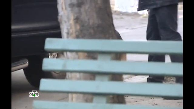 Возвращение Мухтара 2. Бесплатный сыр
