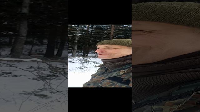 Горный лес вдохновляет