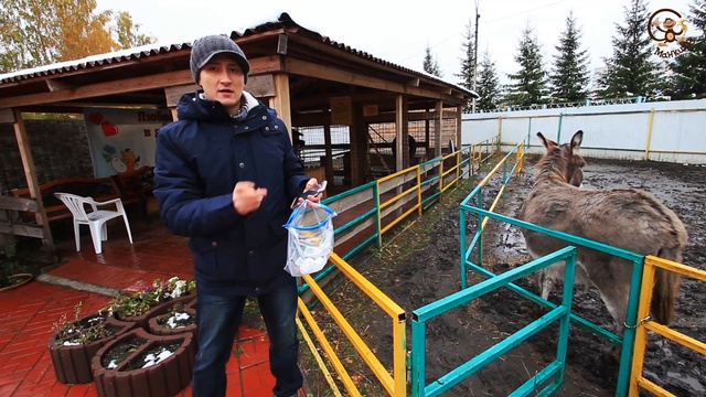 Розыгрыш билетов в контактный Зоопарк Лап-Ландия. МанкиТайм