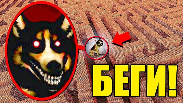 НЕ ЗАХОДИ В ЭТОТ ЛАБИРИНТ! УЛЫБАЮЩАЯСЯ СОБАКА ПРОТИВ ЛЮДЕЙ! УГАР И БЕЗУМИЕ В Garry`s Mod