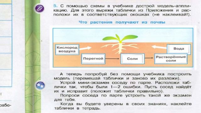 Окружающий мир. Рабочая тетрадь 3 класс 1 часть. ГДЗ стр. 38 №5