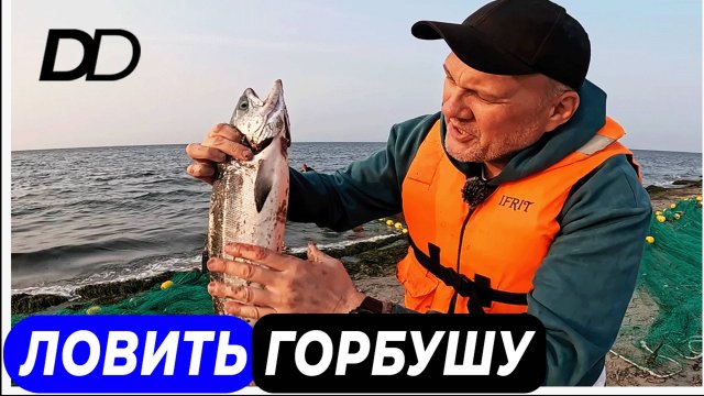 КАК ЛОВЯТ ГОРБУШУ? ДЕНЬ С РЫБАКАМИ В ЗАЛИВЕ СЧАСТЬЯ! ДАЛЬНЕВОСТОЧНАЯ ПУТИНА!