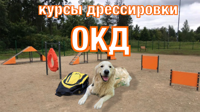Общий курс дрессировки собак (ОКД).