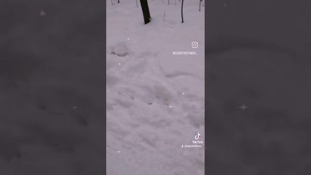 VID_60470806_090607_863.mp4