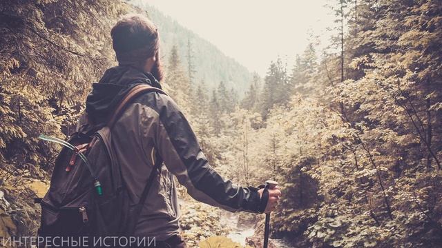 ИНТЕРЕСНАЯ ИСТОРИЯ ПРО ПУТЕШЕСТВЕННИКА