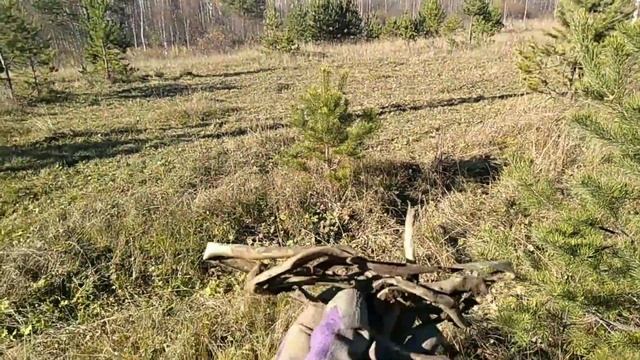 По монетам с ТХ-850