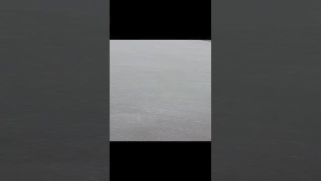 VID_20240126_152727.mp4