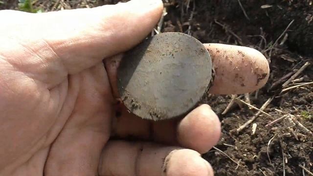 РАСКОПАЛИ ОБРЫВ на Волге,а оттуда ВЫВАЛИЛИСЬ СЮРПРИЗЫ!