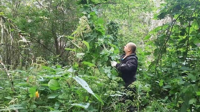 Летние бушкрафт походы, выживание в дикой природе, отдых в одиночку