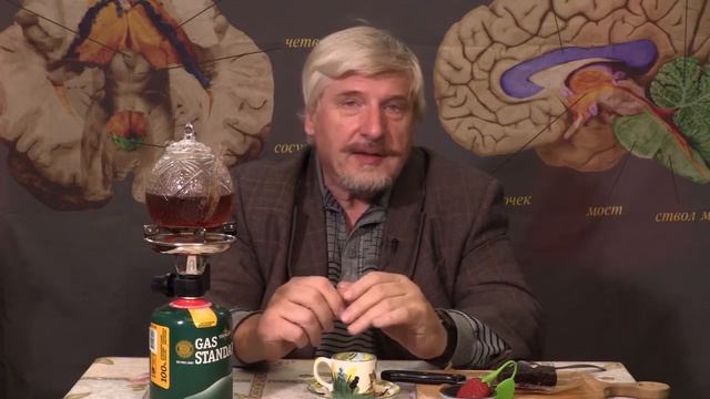 С. Савельев. Какую пищу любит мозг.mp4