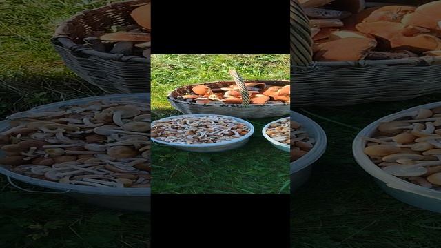 День прошёл не зря