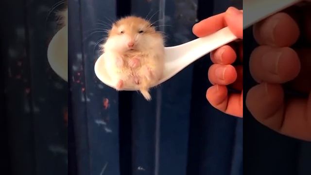 под микроскопом