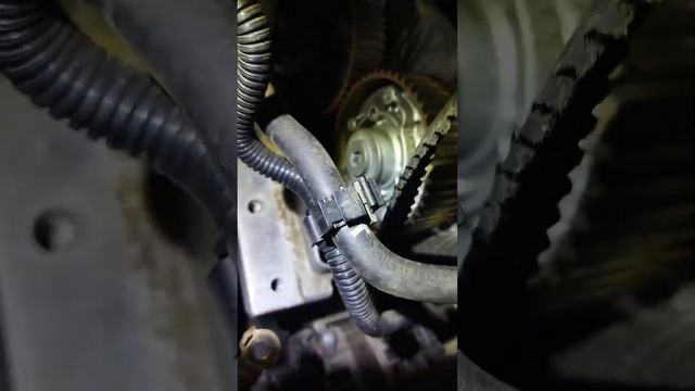 Вскрыли двигатель Skoda rapid. Последствия обрыва ремня ГРМ