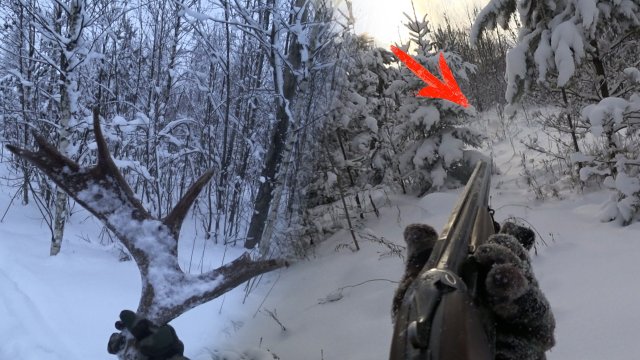 Вот это НАХОДКА! ПЯТЬ раз стрелял! Охота на ЗАЙЦА! Сезон 2023 - 2024г. #14